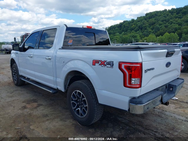 Ford F-150 Xlt 2015 1FTEW1EF2FKD14818 Image 3