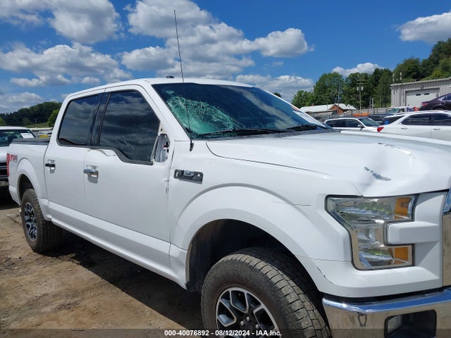 Ford F-150 Xlt 2015 1FTEW1EF2FKD14818 Image 6