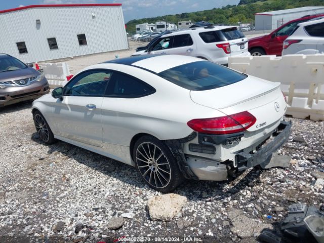 WDDWJ4JB2JF653870 Mercedes-Benz C 300