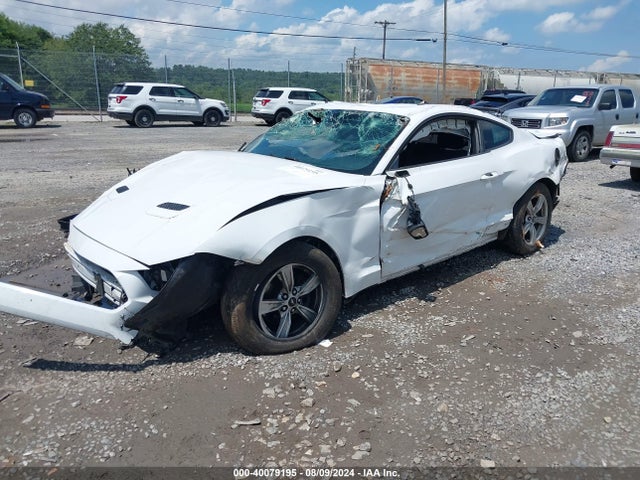 Ford Mustang Ecoboost Fastback 2020 1FA6P8TH4L5149353 Image 2