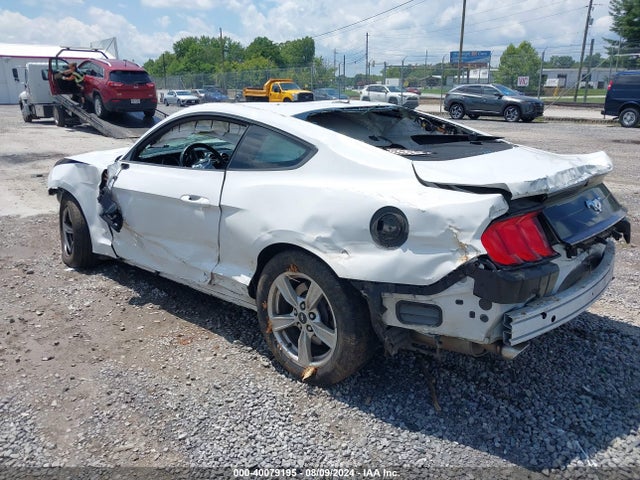 Ford Mustang Ecoboost Fastback 2020 1FA6P8TH4L5149353 Image 3