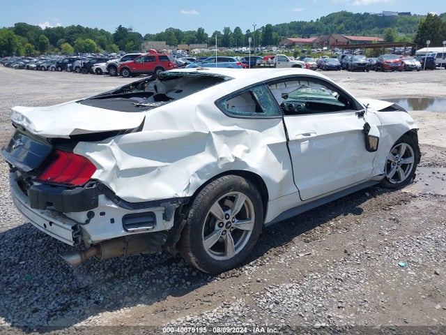 Ford Mustang Ecoboost Fastback 2020 1FA6P8TH4L5149353 Image 4