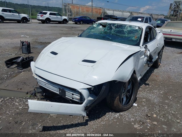Ford Mustang Ecoboost Fastback 2020 1FA6P8TH4L5149353 Image 6