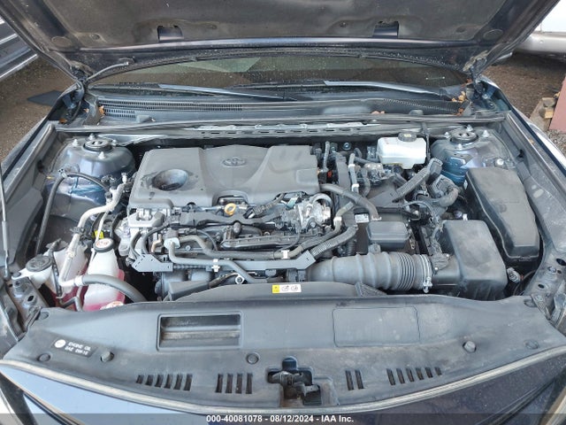 40081078 :رقم المزاد ، 4T1C31AK5MU556342 vin ، 2021 Toyota Camry Le Hybrid مزاد بيع