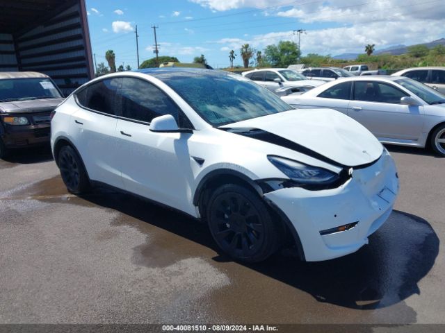2021 TESLA MODEL Y 5YJYGDEE2MF087059 Photo 0