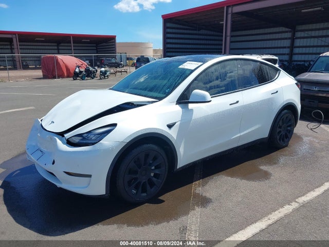 2021 TESLA MODEL Y 5YJYGDEE2MF087059 Photo 1