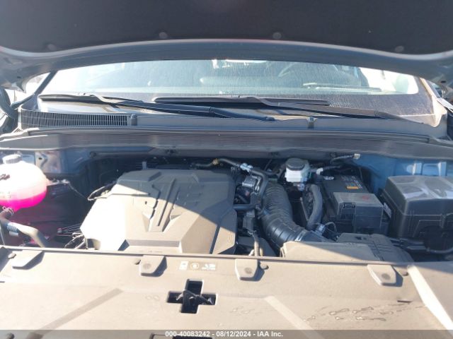 KNDNE5H33R6404522 KIA Carnival Mpv Sx Prestige