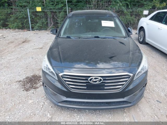5NPE34AF8GH296731 Hyundai Sonata Limited