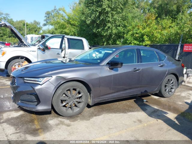 19UUB6F32MA005931 Acura Tlx Standard