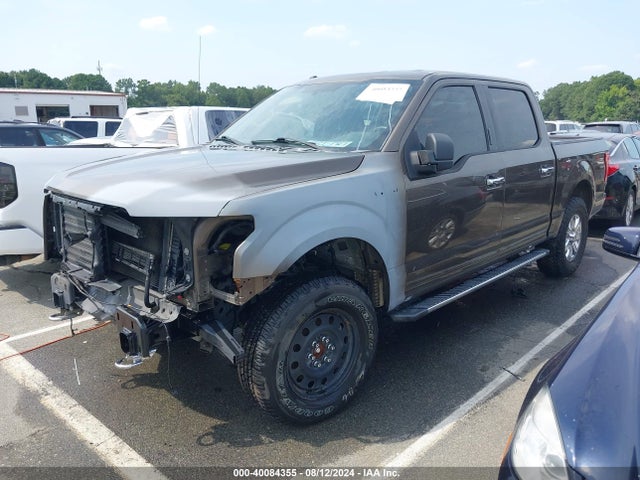 Ford F-150 Xlt 2015 1FTEW1EF1FFC25556 Image 2