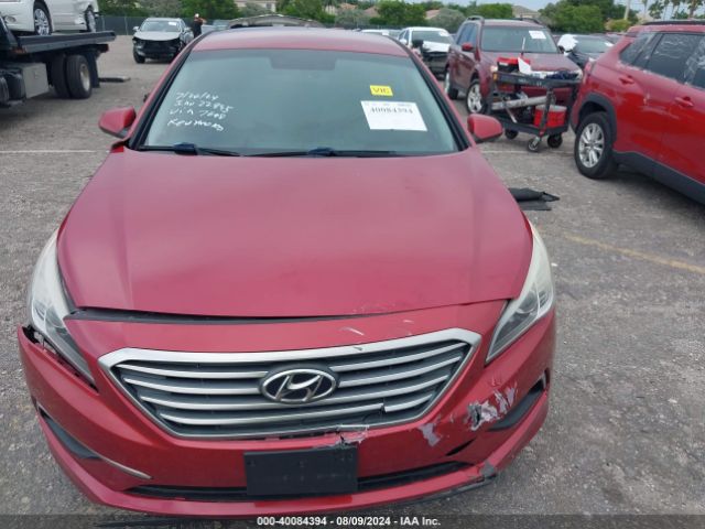5NPE24AF5HH537648 Hyundai Sonata