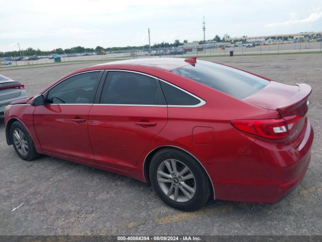 5NPE24AF5HH537648 Hyundai Sonata