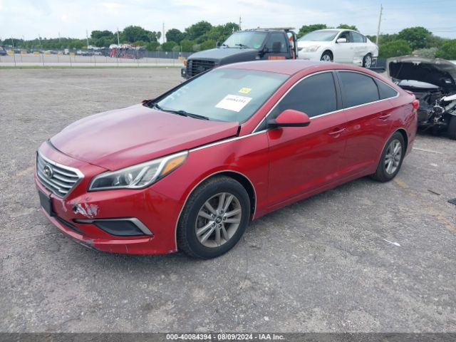 5NPE24AF5HH537648 Hyundai Sonata