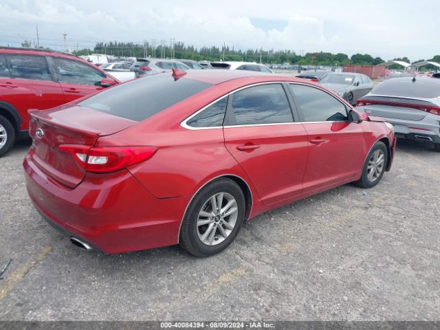 5NPE24AF5HH537648 Hyundai Sonata