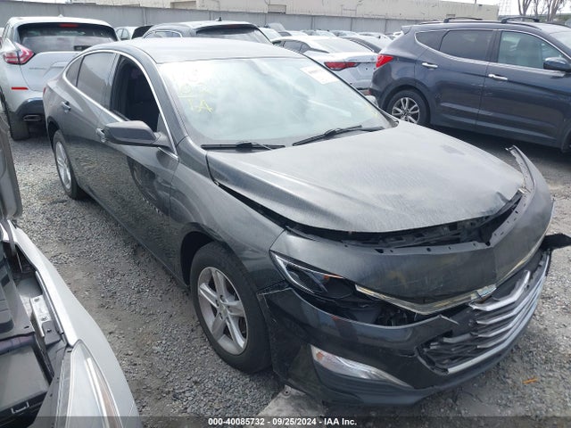 Chevrolet Malibu 1ls 2019 1G1ZB5ST4KF216058 Image 1