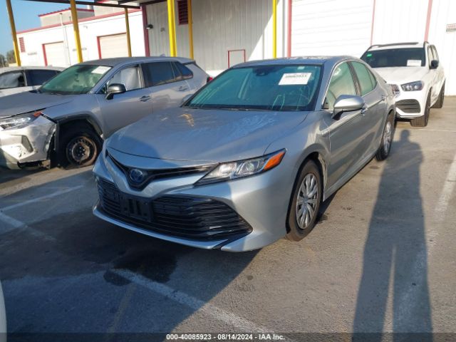 4T1B31HKXKU008951 Toyota Camry Hybrid Le