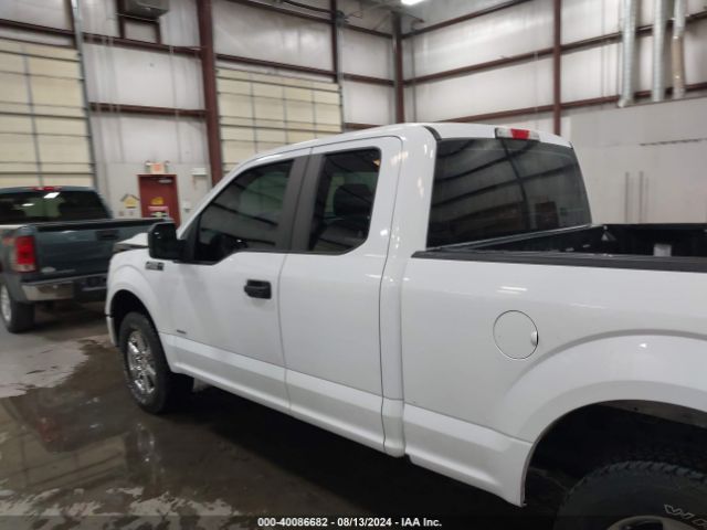 1FTEX1EP6HKD54229 Ford F-150 Xl