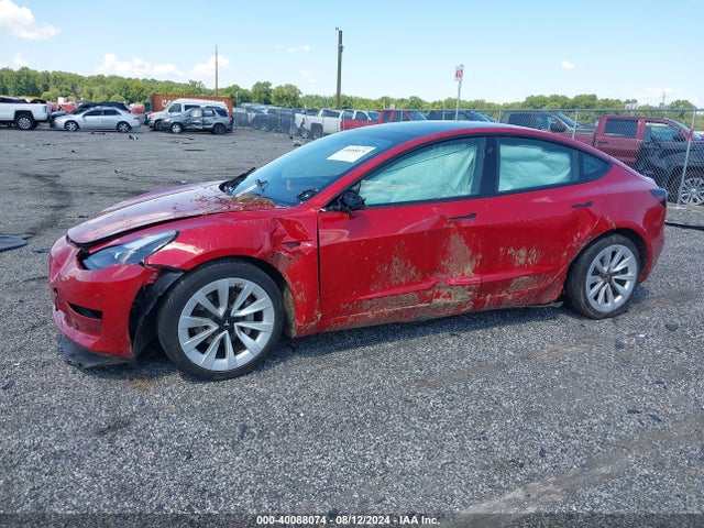 2023 TESLA MODEL 3 5YJ3E1EA9PF451204 Photo 5