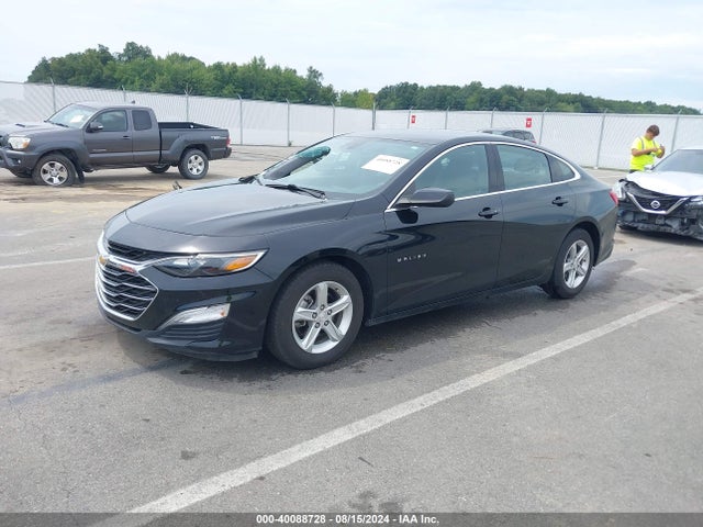 Chevrolet Malibu 1fl 2019 1G1ZC5ST7KF186227 Image 2