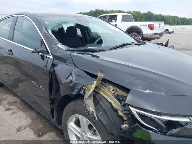Chevrolet Malibu 1fl 2019 1G1ZC5ST7KF186227 Image 6
