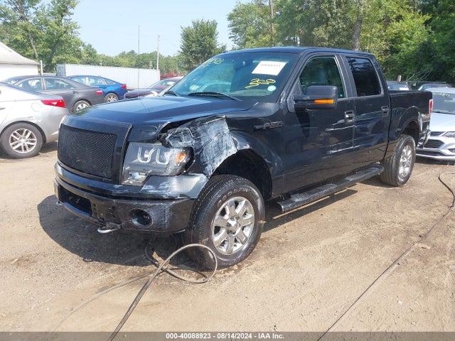 Ford F-150 Xlt 2014 1FTFW1EF4EFB38446 Image 2