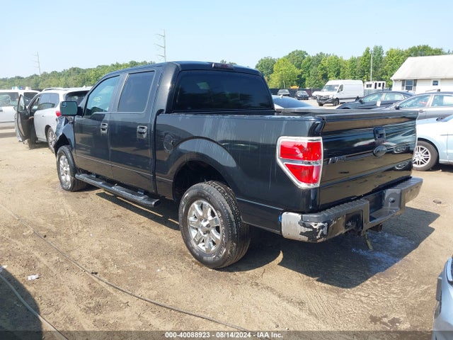Ford F-150 Xlt 2014 1FTFW1EF4EFB38446 Image 3