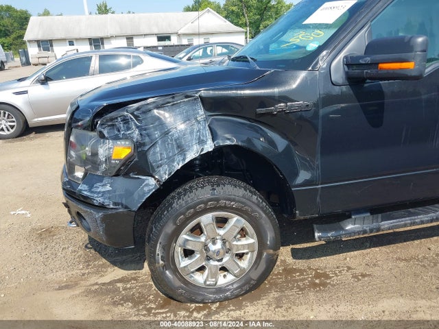 Ford F-150 Xlt 2014 1FTFW1EF4EFB38446 Image 6