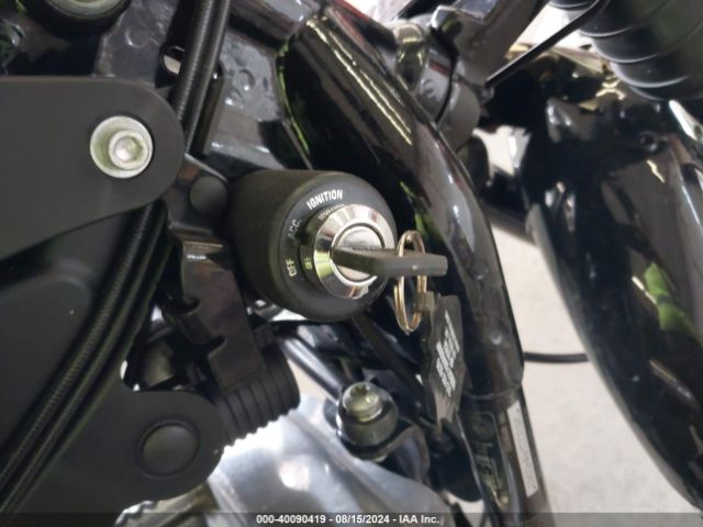 2009 HARLEY-DAVIDSON XL1200 1HD1CZ3149K455809 Photo 10