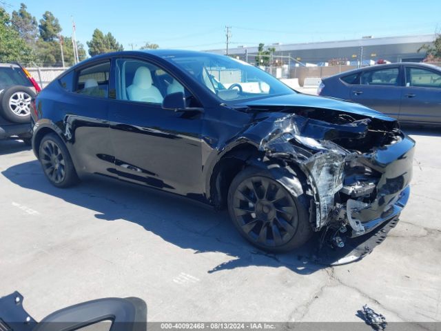2024 TESLA MODEL Y 7SAYGDED2RF085894