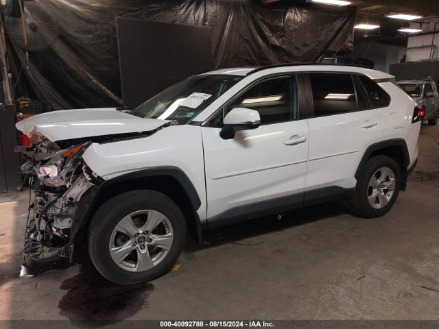 Toyota Rav4 Xle 2019 2T3P1RFV7KW008257 Image 2