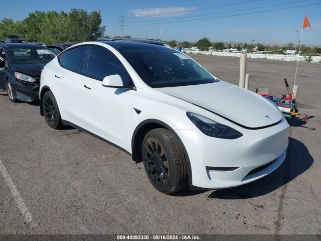 2023 TESLA MODEL Y 7SAYGDEE9PF639941 Photo 0