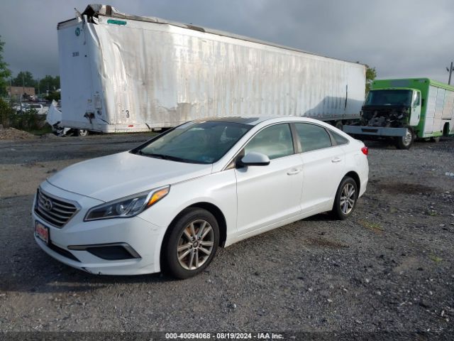 5NPE24AF7GH341824 Hyundai SONATA SE