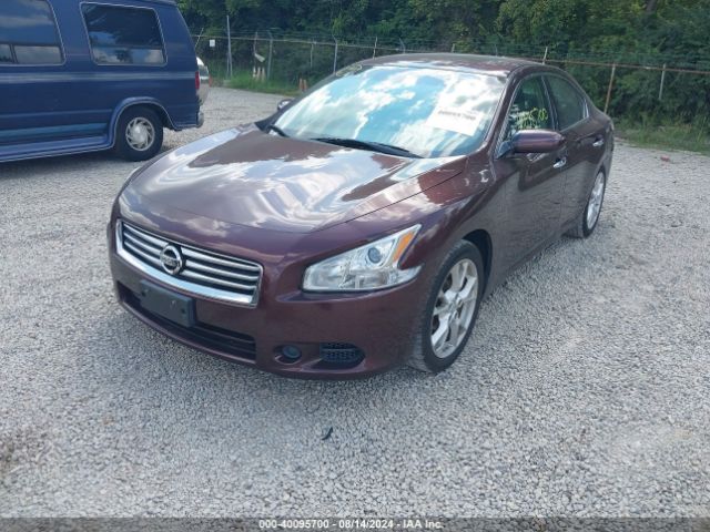 1N4AA5AP0EC482104 Nissan Maxima 3.5 S/3.5 Sv