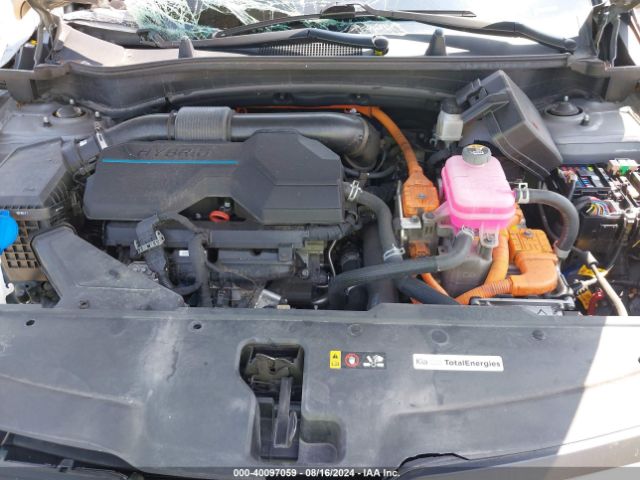 KNDPUCAG4P7050109 KIA Sportage Hybrid Lx