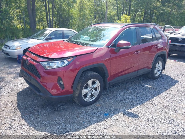 Toyota Rav4 Xle 2019 2T3P1RFV1KC025461 Image 2