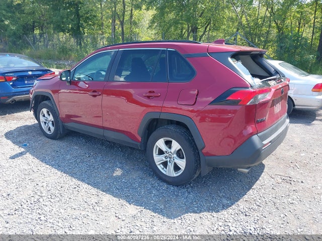 Toyota Rav4 Xle 2019 2T3P1RFV1KC025461 Image 3