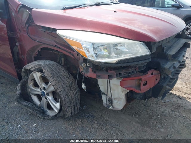 Ford ESCAPE SE 2014 1FMCU9G91EUA81158 Image 6