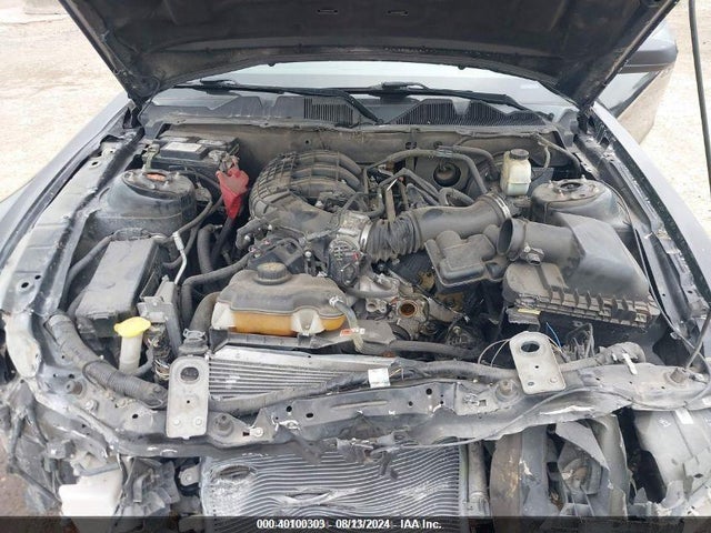 1ZVBP8AM8E5311624 Ford Mustang V6