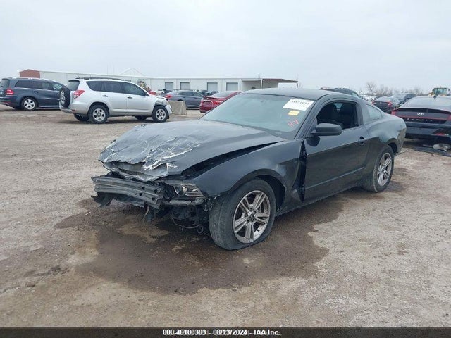 1ZVBP8AM8E5311624 Ford Mustang V6