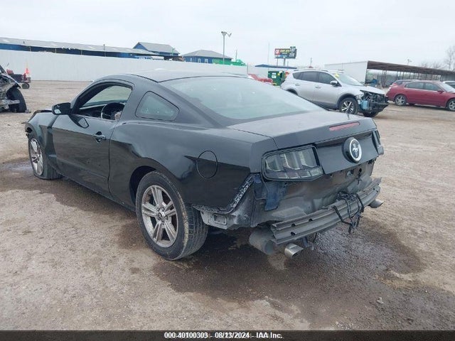 1ZVBP8AM8E5311624 Ford Mustang V6