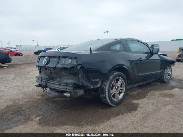 1ZVBP8AM8E5311624 Ford Mustang V6