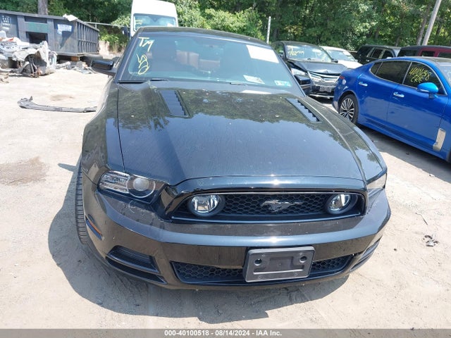 Ford Mustang Gt Premium 2014 1ZVBP8CF5E5241207 Image 6