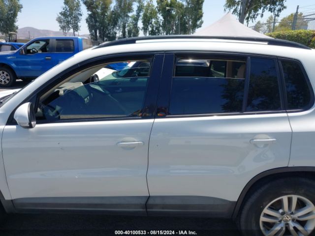 WVGAV7AX6GW596356 Volkswagen TIGUAN S
