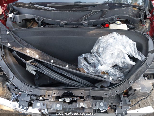 2024 TESLA MODEL X 7SAXCBE50RF445068 Photo 9