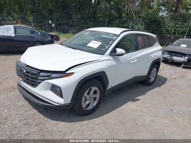 Hyundai TUCSON SEL 2024 5NMJBCDE0RH387572 Image 2