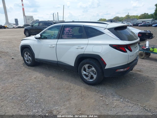 Hyundai TUCSON SEL 2024 5NMJBCDE0RH387572 Image 3