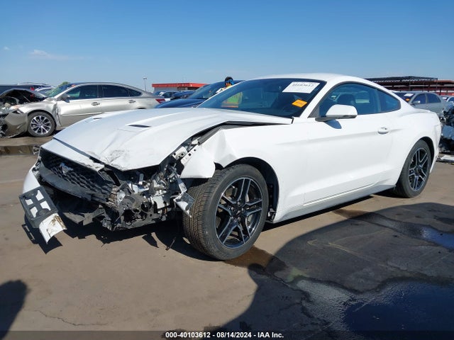 Ford Mustang Ecoboost Premium Fastback 2020 1FA6P8TH7L5132238 Image 2