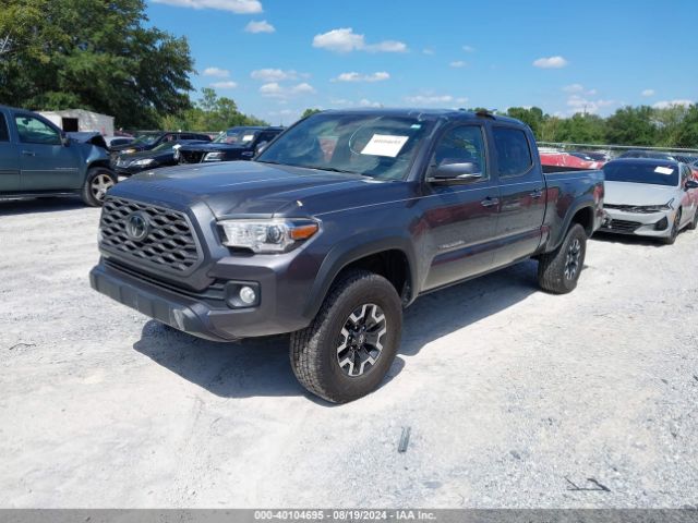 3TMDZ5BN6LM091452 Toyota Tacoma Trd Off-road
