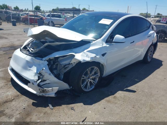 7SAYGDED5RF015600 Tesla Model Y