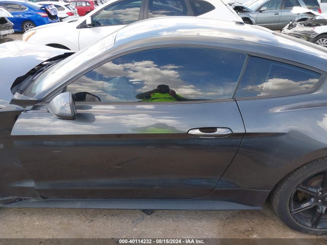 Ford Mustang Ecoboost 2019 1FA6P8TH5K5133919 Image 14